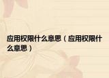 应用权限什么意思（应用权限什么意思）