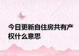 今日更新自住房共有产权什么意思
