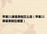 苹果11屏幕录制怎么用（苹果11屏幕录制在哪里）