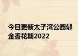 今日更新太子湾公园郁金香花期2022