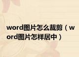 word图片怎么裁剪（word图片怎样居中）