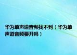 华为单声道音频找不到（华为单声道音频要开吗）