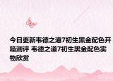 今日更新韦德之道7初生黑金配色开箱测评 韦德之道7初生黑金配色实物欣赏