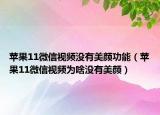 苹果11微信视频没有美颜功能（苹果11微信视频为啥没有美颜）