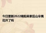 今日更新2022绵阳吴家后山辛夷花开了吗