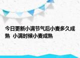 今日更新小满节气后小麦多久成熟  小满时候小麦成熟