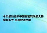 今日最新更新中国目前发现最大的蛇有多大 是保护动物吗