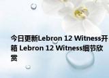 今日更新Lebron 12 Witness开箱 Lebron 12 Witness细节欣赏