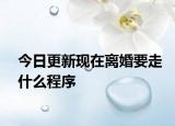 今日更新现在离婚要走什么程序