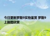 今日更新罗斯9实物鉴赏 罗斯9上脚图欣赏