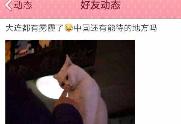 朋友圈的“肺腑之言”：厚德载雾，自强不吸！