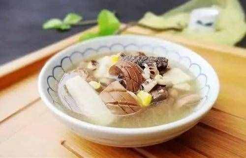 补肝、肾佳品—杜仲的功效与应用