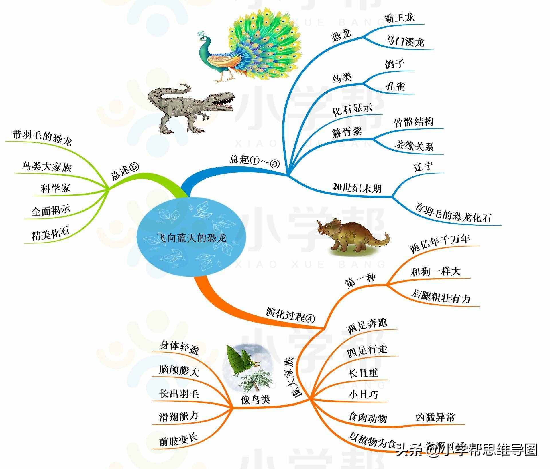 思维导图统编版4年级“飞向蓝天的恐龙-纳米技术就在我们身边-千