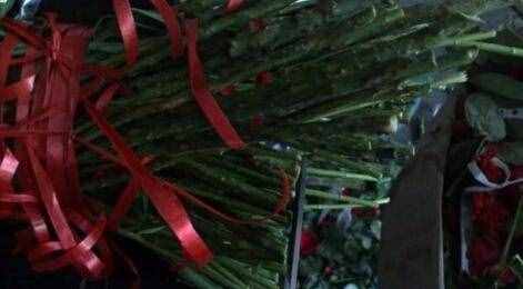 玫瑰花的包法大全图解 详细步骤图解分享