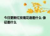 今日更新红玫瑰花语是什么-象征是什么