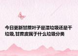 今日更新甘蔗叶子是湿垃圾还是干垃圾,甘蔗皮属于什么垃圾分类