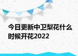 今日更新中卫梨花什么时候开花2022