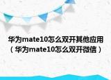 华为mate10怎么双开其他应用（华为mate10怎么双开微信）