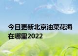 今日更新北京油菜花海在哪里2022