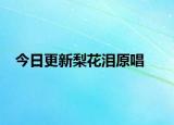 今日更新梨花泪原唱