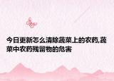 今日更新怎么清除蔬菜上的农药,蔬菜中农药残留物的危害
