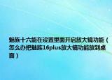 魅族十六能在设置里面开启放大镜功能（怎么办把魅族16plus放大镜功能放到桌面）