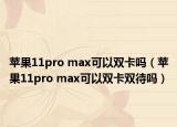 苹果11pro max可以双卡吗（苹果11pro max可以双卡双待吗）