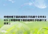 哔哩哔哩下载的视频在手机哪个文件夹2021（哔哩哔哩下载的视频在手机哪个文件夹）