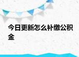 今日更新怎么补缴公积金