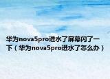 华为nova5pro进水了屏幕闪了一下（华为nova5pro进水了怎么办）