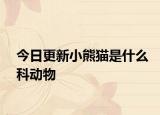 今日更新小熊猫是什么科动物