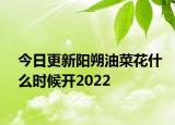 今日更新阳朔油菜花什么时候开2022