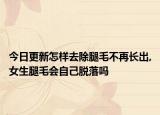 今日更新怎样去除腿毛不再长出,女生腿毛会自己脱落吗