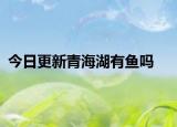 今日更新青海湖有鱼吗