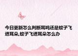 今日更新怎么判断耳鸣还是蚊子飞进耳朵,蚊子飞进耳朵怎么办