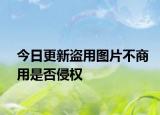 今日更新盗用图片不商用是否侵权