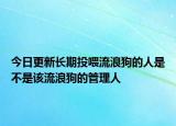今日更新长期投喂流浪狗的人是不是该流浪狗的管理人