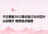 今日更新2022重庆垫江牡丹花什么时候开 观赏地点推荐