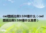 cad图纸比例1:100是什么（cad图纸比例1:100是什么意思）