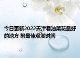 今日更新2022天津看油菜花最好的地方 附最佳观赏时间
