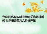 今日更新2022吐尔根杏花沟最佳时间 吐尔根杏花沟几月份开花