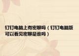 钉钉电脑上有密聊吗（钉钉电脑版可以看见密聊是谁吗）