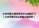 小米平板小爱同学为什么唤醒不了（小米平板5怎么唤醒小爱同学）