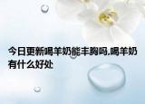 今日更新喝羊奶能丰胸吗,喝羊奶有什么好处