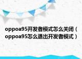 oppoa95开发者模式怎么关闭（oppoa95怎么退出开发者模式）