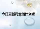 今日更新罚金指什么呢