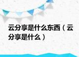 云分享是什么东西（云分享是什么）