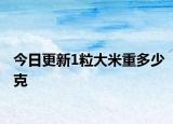 今日更新1粒大米重多少克