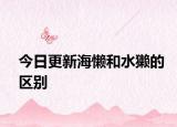 今日更新海懒和水獭的区别