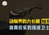 今日更新蚰蜒怎么读(家里蚰蜒怎么来的)